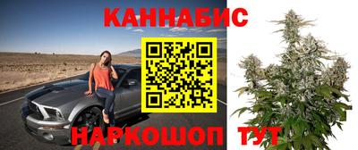 ECSTASY Славгород