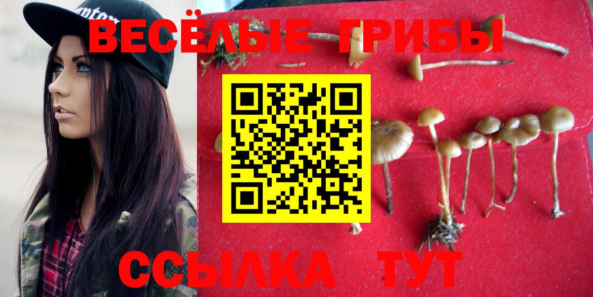 Псилоцибиновые грибы мухоморы Новодвинск
