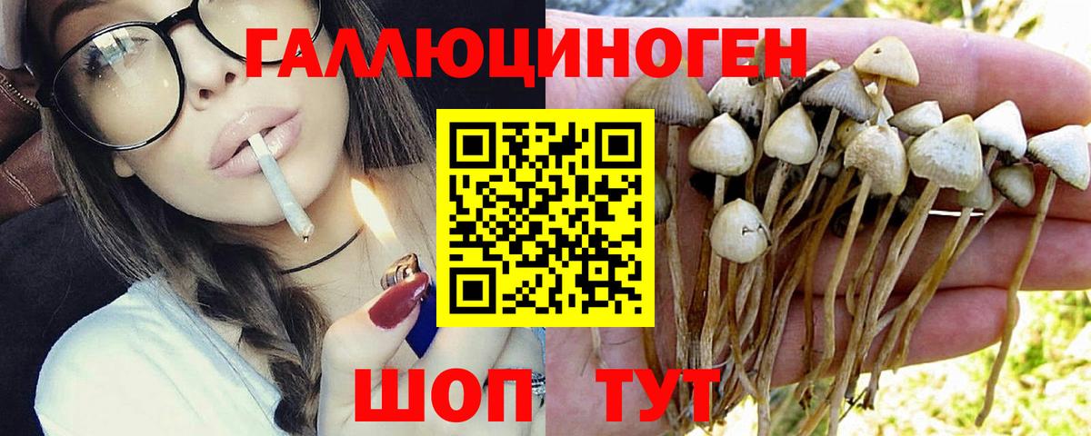 Псилоцибиновые грибы ЛСД  Вход с VPN  где можно купить наркотик  Новодвинск 